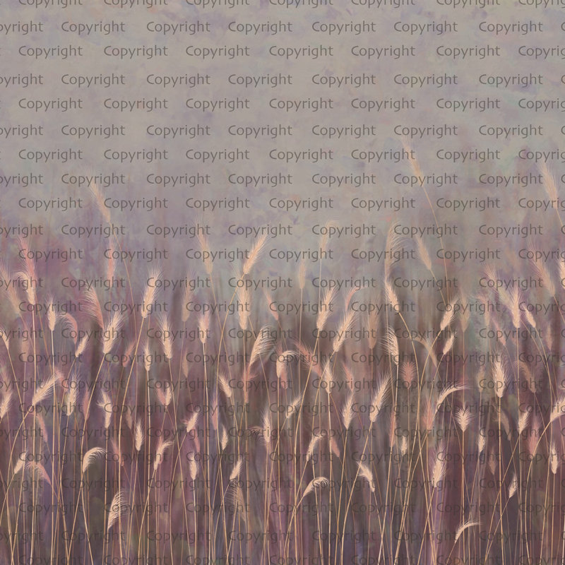 Papier peint Serene Reed Grass, L 117,96 po x l 225 po, Mauve