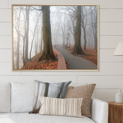 " Path By Melancholic Forest "