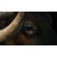 Hidden Eyes Print by Adam Mowery-73304017-73260542