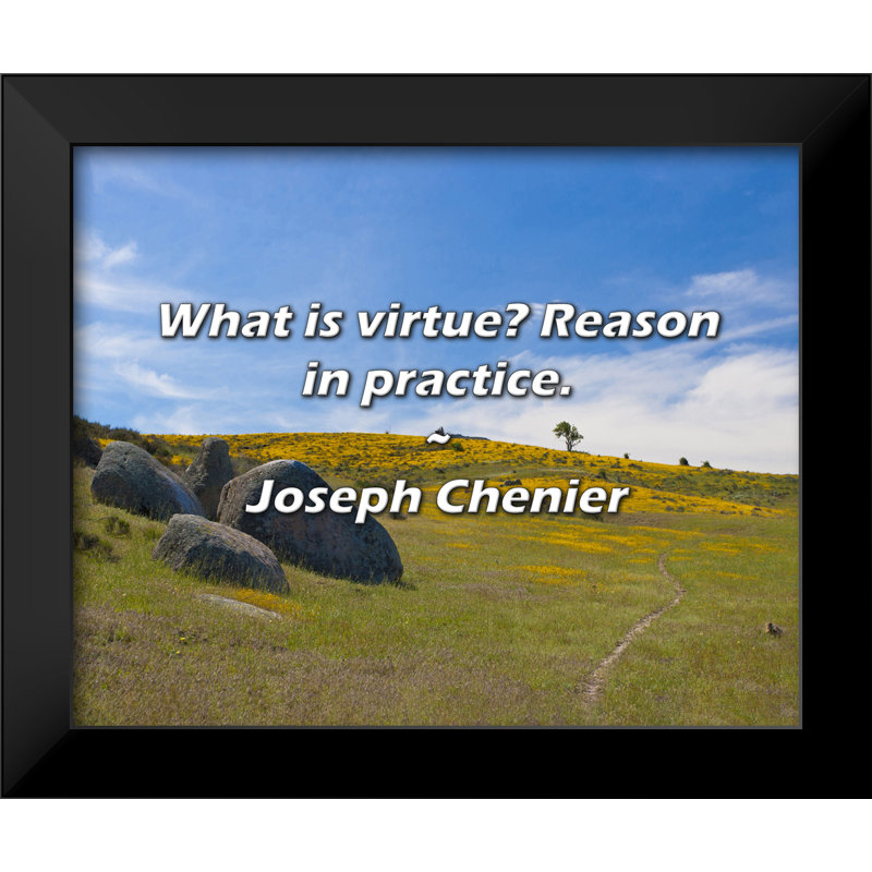 Joseph Chenier Quote: What is virtue? Reason in practice.