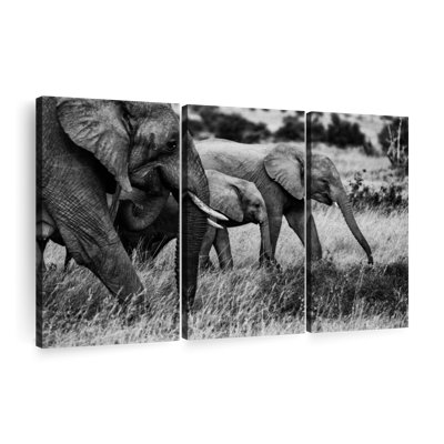 " Elephant Family I " on