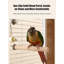 Cage à oiseaux en fil de métal et bois minimaliste, grande volière à perroquet verticale avec bac de bain externe et bac à déchets coulissant