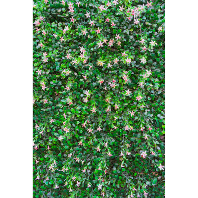 " Flower Wall "