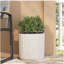 Jardinière Mgo-829569977