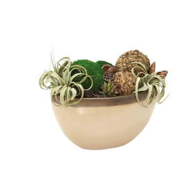 Plantes grasses artificielles 14 po en pot