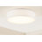 Raasch 1-Light LED Flush Mount-930126326-930126313