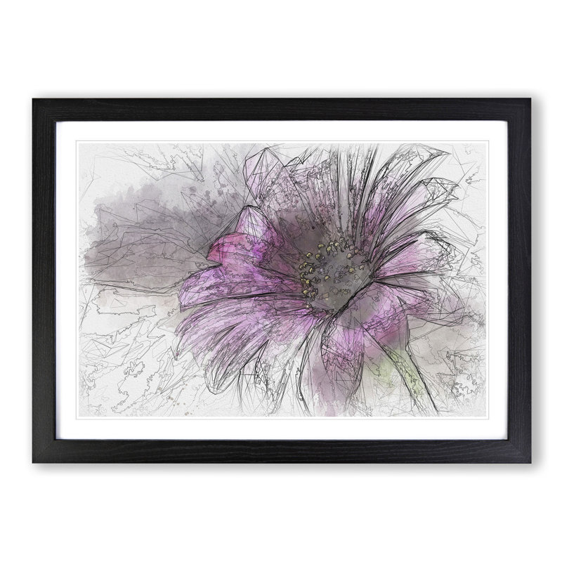 Purple Daisy Sketch - Picture Frame Graphic Art Print, 36cm H x 48cm W x 2cm D, Black Framed