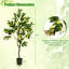 Faux citronnier 48 po en pot-555582513