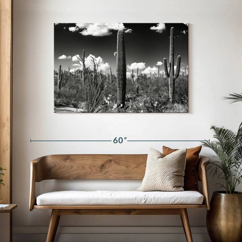 Alvord - Arizona noir - cactus Saguaro, H 30 po x l 45 po