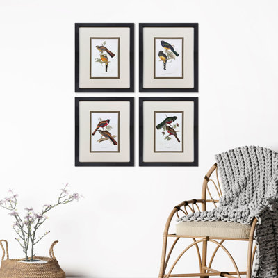«Elegant Trogons», art encadré