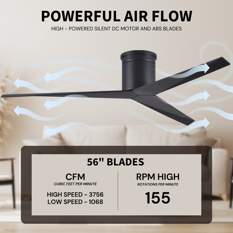 Eliza Ceiling Fan, Matte Black, Matte Black