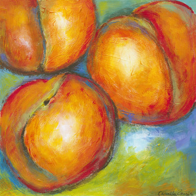 Abstract Fruits II by Chariklia Zarris - Wrapped Canvas Painting