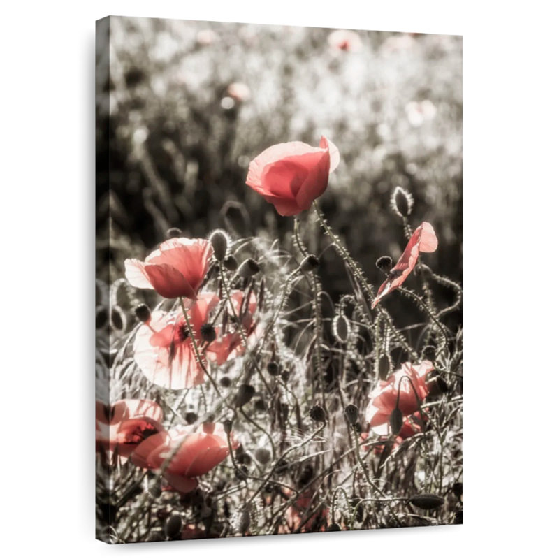 Harnek Poppy Idyll - couleur rétro, H 48 po x l 32 po