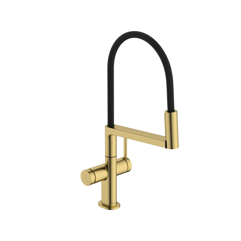 hansgrohe Talis N Semi-Pro PowderSpray Kitchen Faucet 1.75 GPM, Brushed Gold