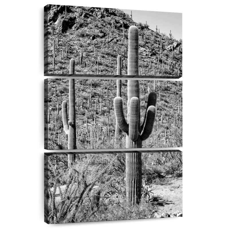 Harnek Black Arizona - Cactus Hill III, 74" H x 48" W