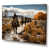 Wrapped Canvas