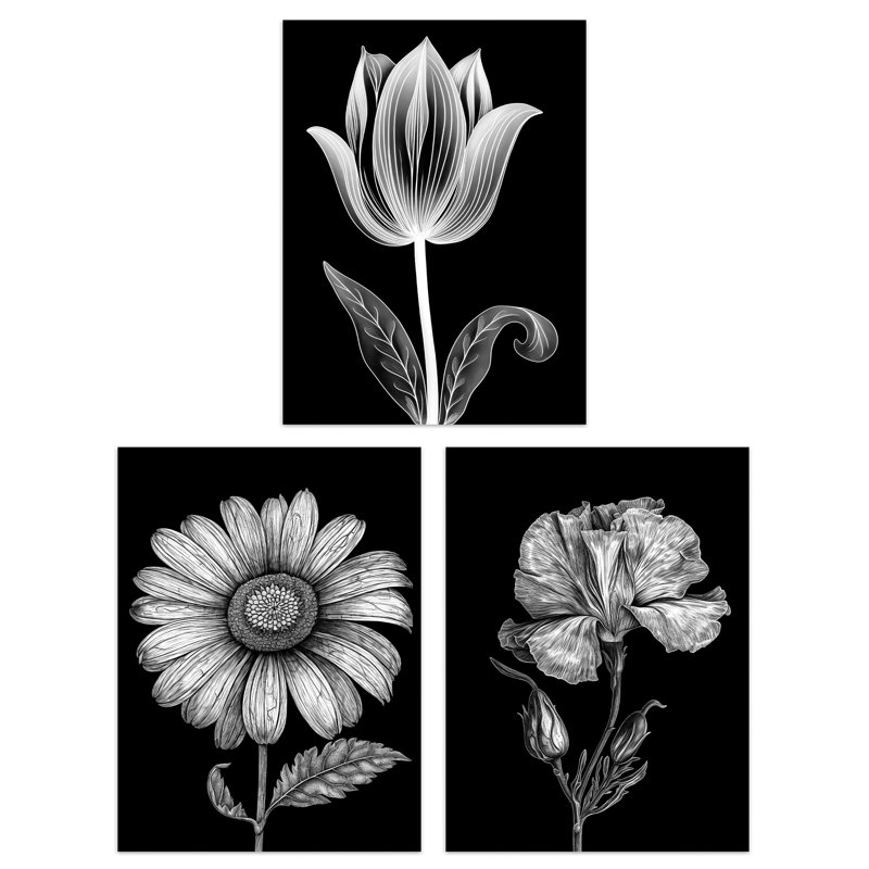 Elegant Single Tulip Daisy Rose Spring Flowers Black White - 3 Piece No Frame Print Set, 40.5cm H x 30.5cm W x 0.3cm D