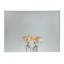 Tapis de jeu Elephant Kids-107391866-107391863