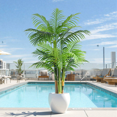 5FT Artificial Palm Tree with Anti-Tip Black Nursery Pot, Lifelike Faux Tropical Plant, Decor for Home, Office, Patio & Yard, Indoor and Covered Outdoor 