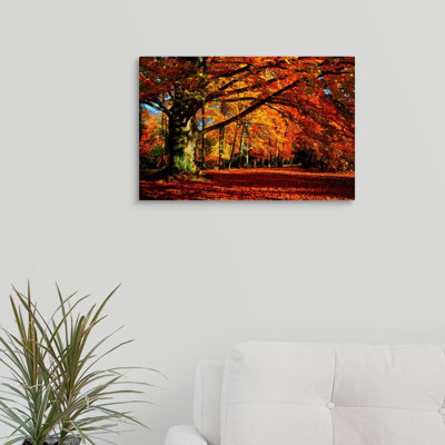 « the tree », reproduction de photo sur toile