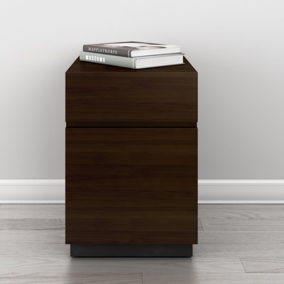 Bernoussi 15.39'' Wide 2 -Drawer File Cabinet