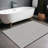 Nadene Gray Indoor Area Rug-479187709