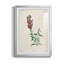 Traditional Botanical I - reproduction de cadre photo-390395411-390395410