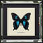 Single Picture Frame Print