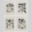 «Neutral Floral Botanical Flowers», reproduction d'art moderne encadrée, affiches, salle de bain, petit art mural-104789277-104789278