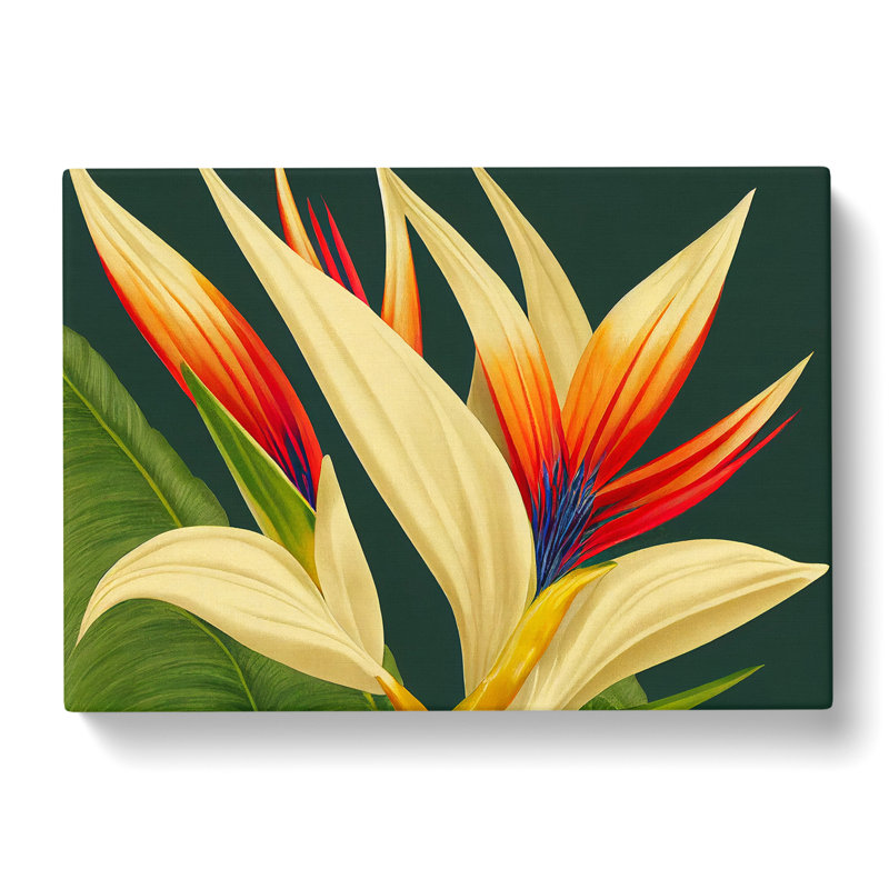 Spellbinding Bird Of Paradise Flower - Wrapped Canvas, 50cm H x 76cm W x 3cm D