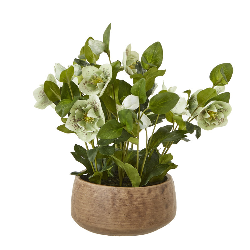 41cm Faux Plant in Pot, Brown, Green