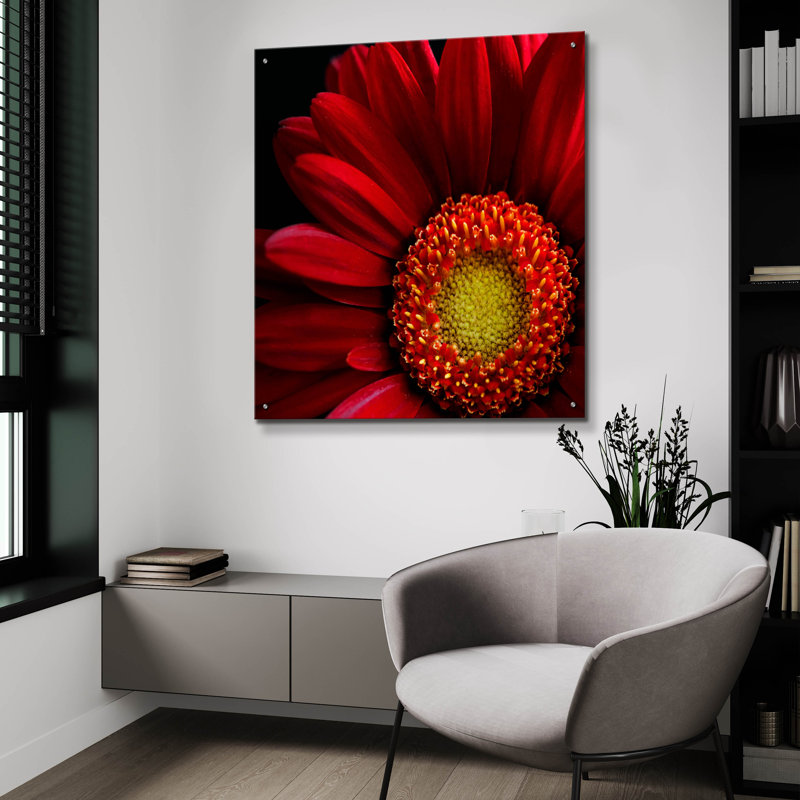 "Red Gerbera On Black 02" par Tom Quartermaine, H 36 po x l 36 po