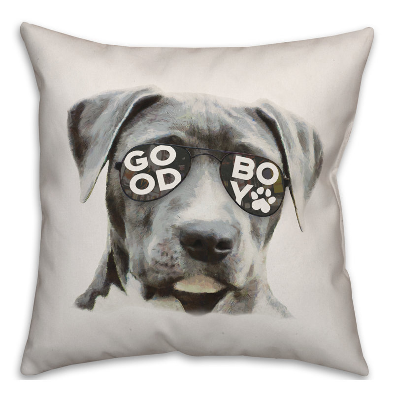 Throw Pillow