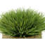 Gazon artificiel 8 po dans un panier-1941322100-1972723837-1972723833