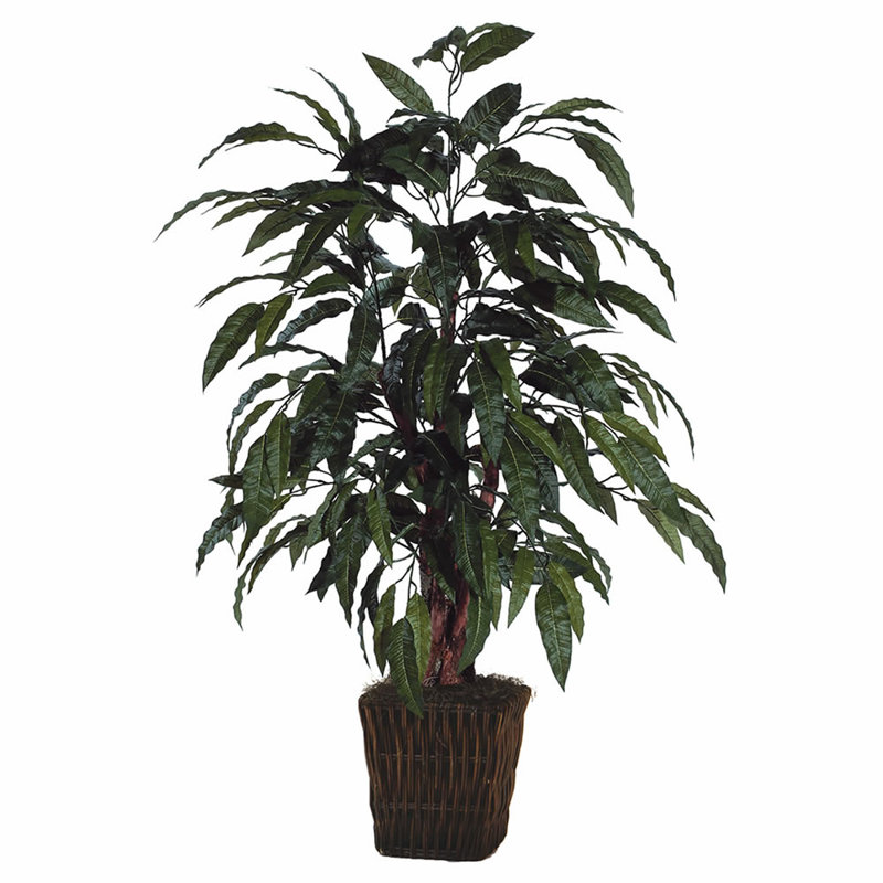 4' Artificial Mango Bush, Square Willow Basket.