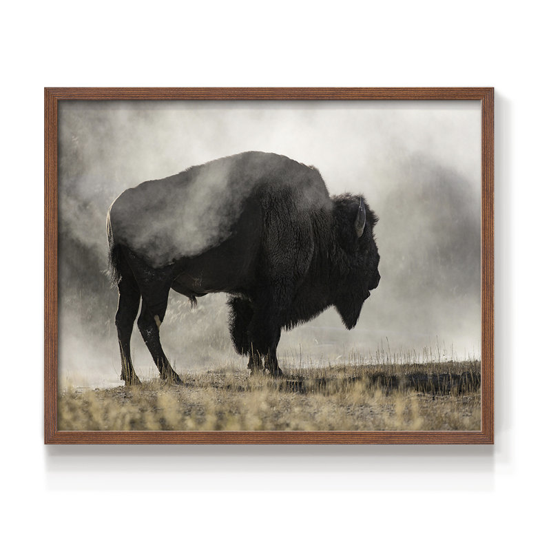 Geyser Basin -Framed Print - Restickable, Walnut, 16" H x 20" W