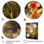 Orange, orchidées exotiques, vert, élégance-740874883-740874933