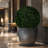 19'' Faux Boxwood Topiary-64582534