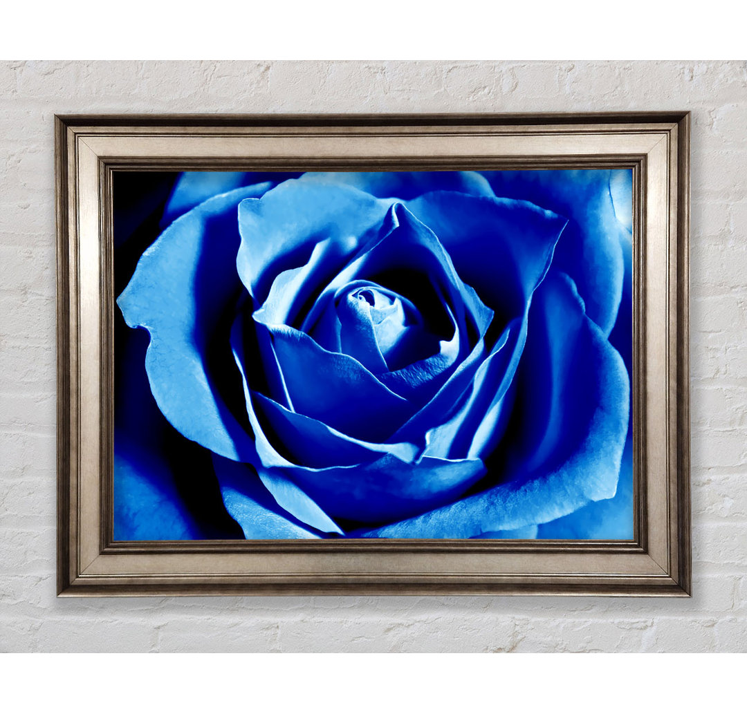 Gerahmtes Leinwandbild Blue Rose Petal