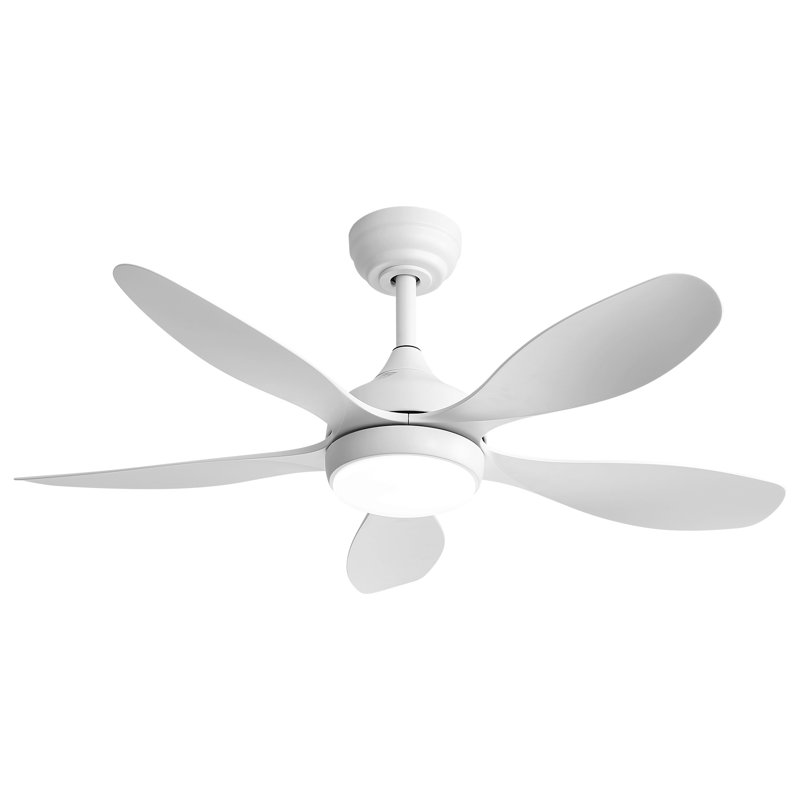 Ceiling Fan with LED Lights