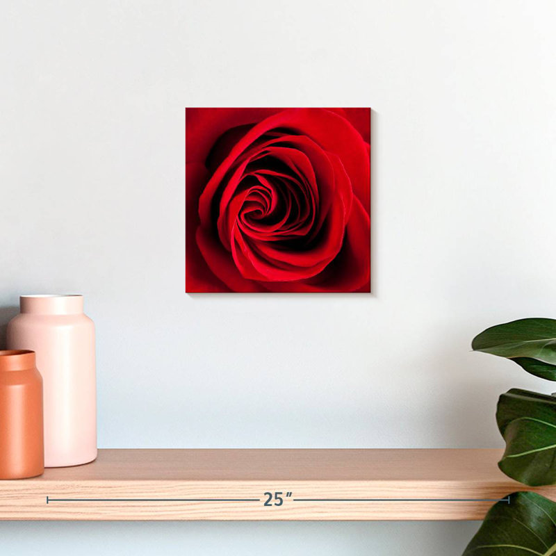 Rose rouge Harnek en fleurs, H 10 po x l 10 po