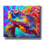 «The Surfing Sea Turtle» par Dean Russo, art mural sur toile-1536281479