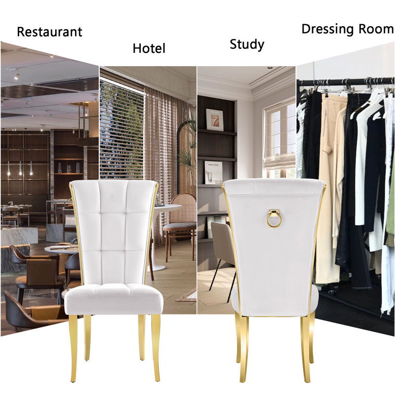 Delphia 19.7'' H Velvet Upholstered Side Chair