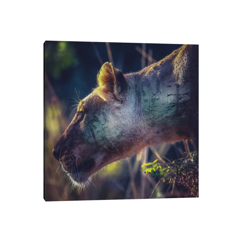 Head 1 Piece Wall Art on Canvas, 45.72 cm H x 45.72 cm W x 1.91 cm D, Wrapped Canvas
