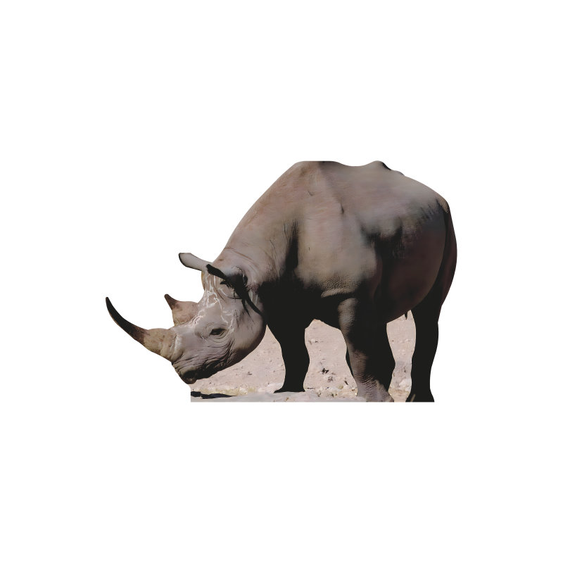 SP13354 Rhino Rhinoceros