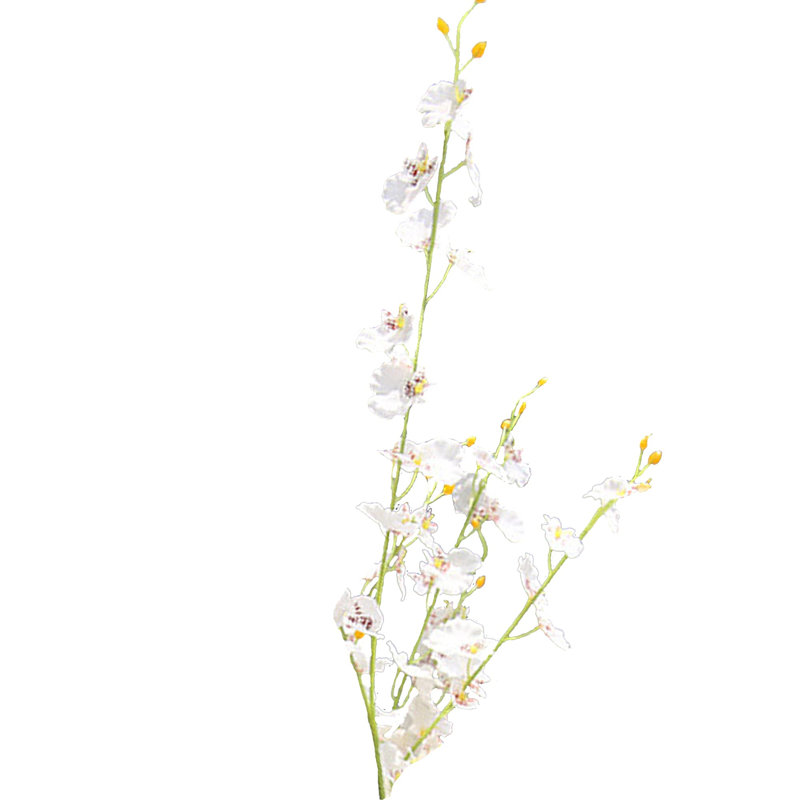 Faux Silk Orchid Arrangement, White