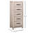 Chanler Swivel Chest