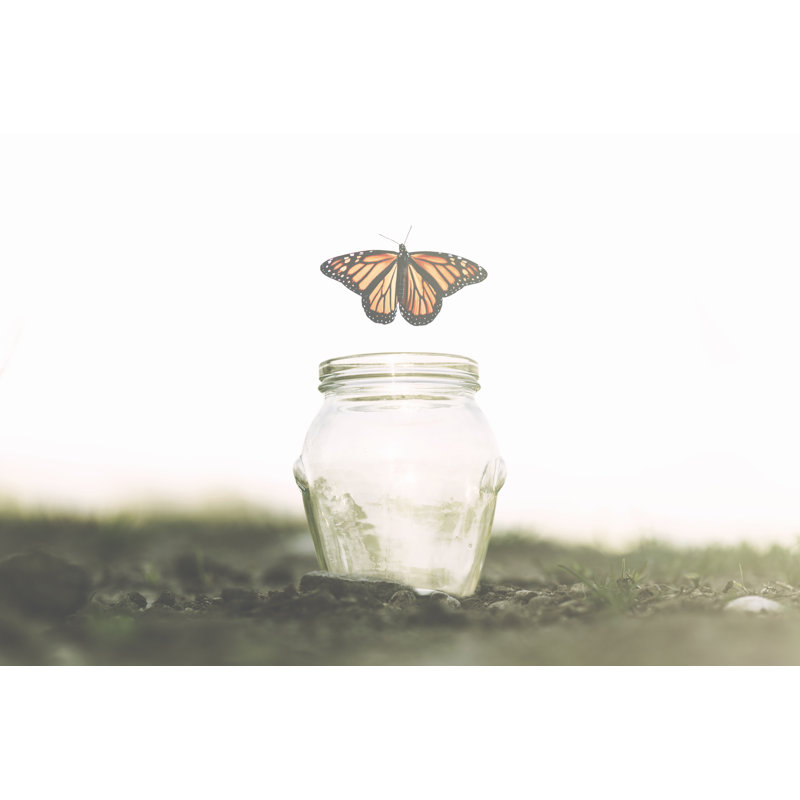 Butterfly Flies Away by Fcscafeine - Wrapped Canvas Print, 30cm H x 46cm W x 3.8cm D