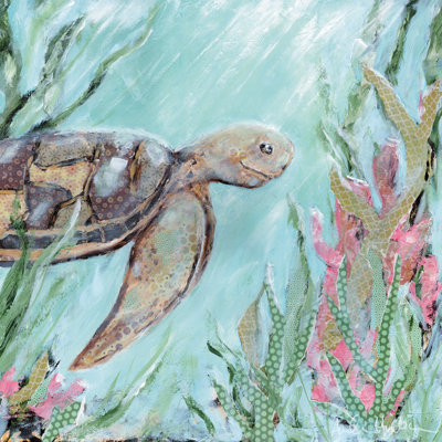 Ovide une tortue de mer au soleil par Amanda Hilburn