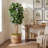 Fiddle Leaf Fig Artificial Tree-260016122